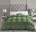 DNG Creations 3 Piece Luxury Pinch Pleated Comforter Set Premium Super Soft 400 GSM All Season Pintuck 1000 Thread Count 100% Egyptian Cotton Super Soft King/California King Size Moss Color