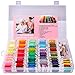 YITOHOP 200pcs+ Embroidery Floss kit, Friendship Bracelet String Kit with Organizer Box-Included 100pcs Friendship Bracelet Floss Thread,Cross Stitch Kits Xmas Gifts