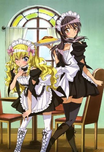 Vista 2 de Dream2Reality Kaichou wa Maid-sama Cosplay Disfraces Maid Latte Maiden 1st Grande Blanco