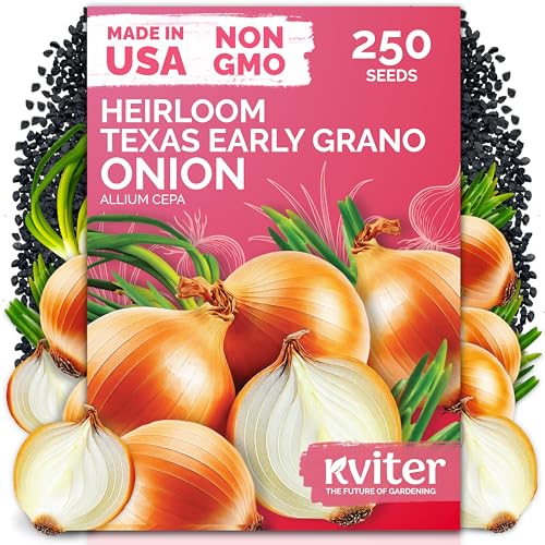KVITER 250 Texas Early Grano Onion Seeds (Allium Cepa) - Sweet Onions Short-Day Non GMO Onion Seed Packets - Heirloom Vegetable Seeds for Outdoors Vegetable Garden Kitchen Containers