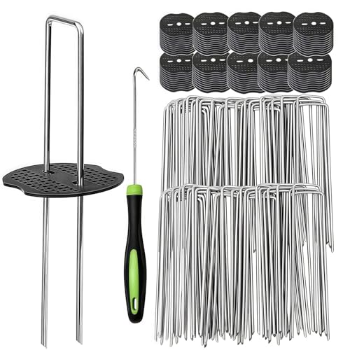 Youabubu UsY ەt 20cm 100{ZbghV[g Œs V[g lH s (100)