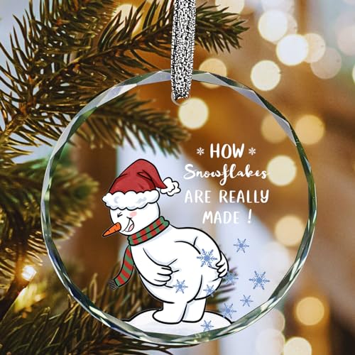 Funny Christmas Ornaments 2025,White Elephant Gifts,Stocking Stuffers for Men Women,Gag Gift for Friends Coworkers Boyfriend Family-How Snowflakes are Really Made - image 1