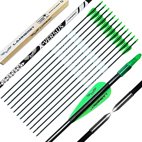 Lanneret Archery Practice Target Arrows for Kids Youth or Beginners, 28inch Fiberglass Arrows for Compound & Recurve Bow (Pack of 12) Green