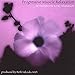 Progressive Muscle Relaxation: 20 Minutes to Total Relaxation