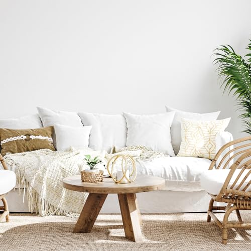 image for Fixwal Throw Pillow Inserts Set of 2-20 x 20 Inches Bed and Couch Pill