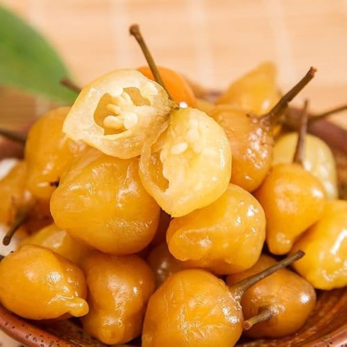 ??܍ʖA ƎʖA _?ؖR H煞? ?؎_؉? Hi LY݂̍ܐFpvJ JJFpvJ _煒ЍؖR ȃR`W U[TC_ (ςh,528g 2)