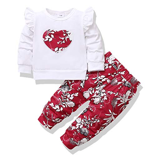 Infant Girls First Valentine's Day Outfits Baby Outfits for Girls Cute Floral Girl Clothes 2 Pieces Long Sleeve Outfits Baby Girl Clothes 9-12 Months