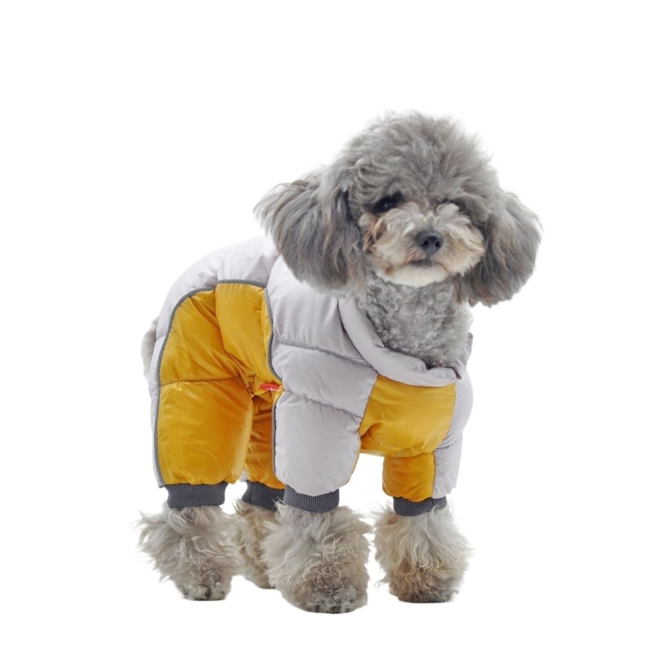 Chaqueta impermeable para perro con forro acolchado de invierno