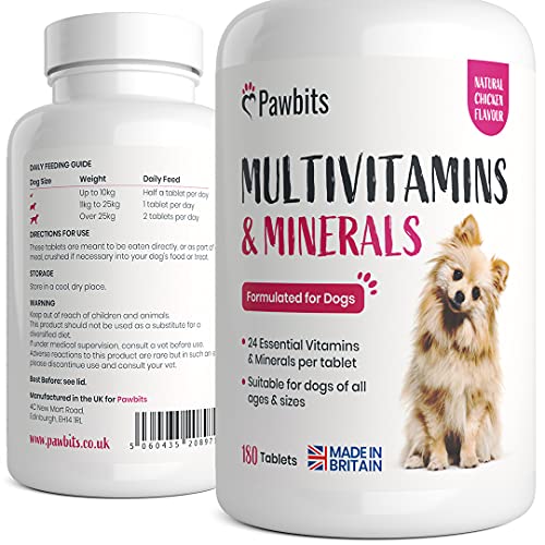Are Dog Vitamins Necessary