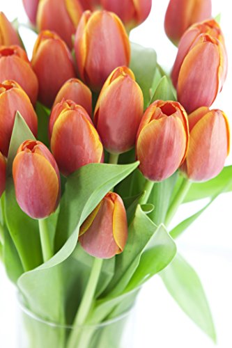 Image of KaBloom-30 Orange Tulip Bouquet,Flowers for Valentine, Mother's Day