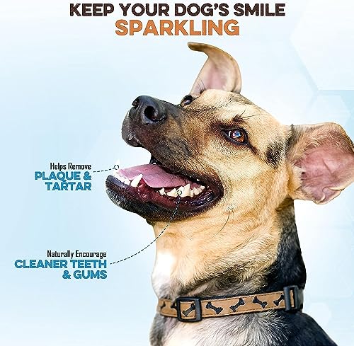 Brutus  Barnaby Bully Stick Bites  Grass Fed Low Odor Bully Stick Bites All Pure and Grain Free 1lb  Cucciolini Doodles Brutus  barnaby bully stick bites  grass fed low odor bully stick bites  all pure and grain free 1lb   cucciolini doodles