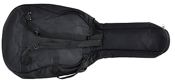 フェンダー FA-235E エレアコ Amazon.com: Fender 6 String FA-235E Concert, Natural