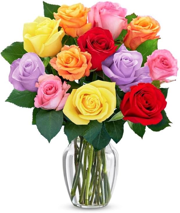 From You Flowers One Dozen Rainbow Roses in Glass Vase - 12 Fresh Cut Flowers Delivered for Birthday, Anniversary & Get Well Gifts