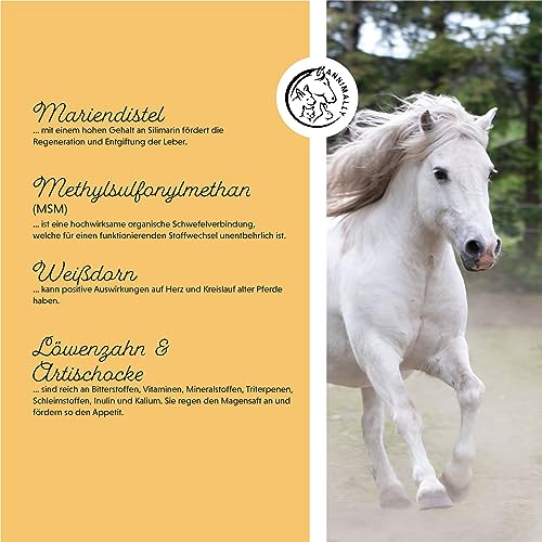 Annimally Senior Vital Pulver Pferd mit MSM, Traubenkern, Glucosamin, Teufelskralle - Senior Zusatzfutter zur Unterstützung von Herz & Kreislauf sowie Knochen und Gelenke im Alter