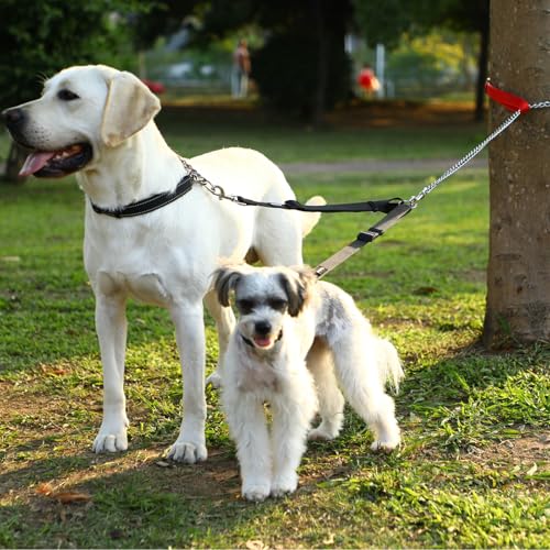 HAPPY HACHI Doppelte Hundeleine,Kein Verheddern 360° Drehbarer Doppelleine für 2 Hunde,Einstellbar Coupler Kein Tangle Nylon Wanderung Leine für Hunde Klein Mittlere und Große Lauftraining (Schwarz-S)