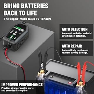 Lot de 2 chargeurs de batterie 3 A – Chargeur de batterie automobile intelligent 6 V/12 V, entièrement automatique et chargeur d'entretien à régime lent pour voiture, moto, bateau, batterie au