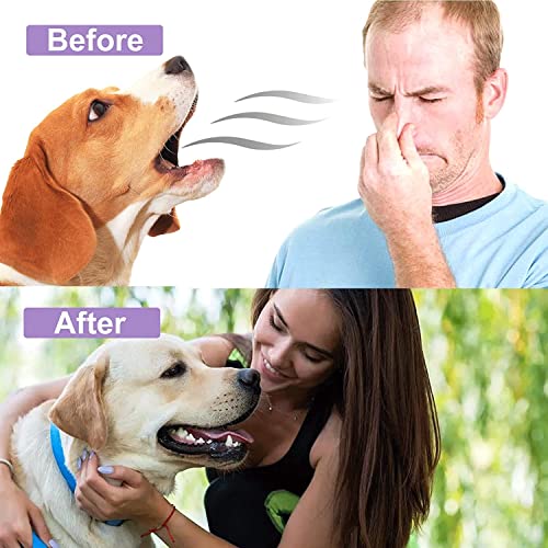 2 Pcs 2023 New Pet Clean Teeth Cleaning Spray for Dogs & Cats, Pet Clean No Brushing Pet Oral Care S