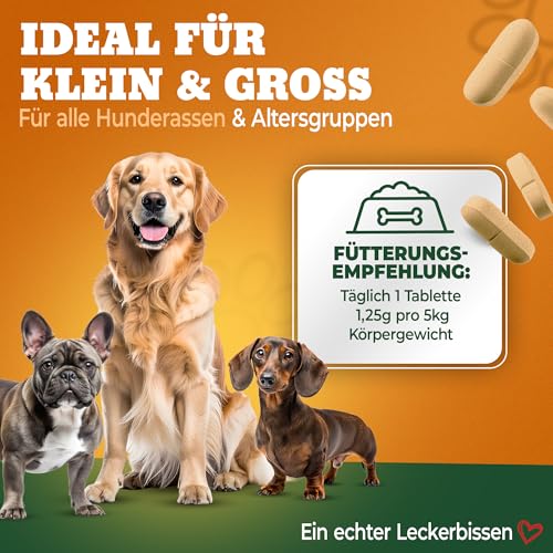 NATIVIVO K1 Relax Komplex Beruhigungsmittel für Hunde - Baldrian Hanföl & L Tryptophan Hund Beruhigung - Hunde Beruhigungsmittel unterstützend bei Angst & Stress - Beruhigung Hund - 60 Tabletten