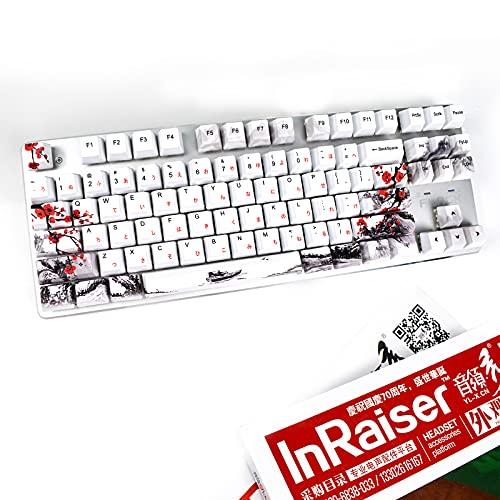 Teclas Cherry MX MOLGRIA de perfil OEM PBT con extractor de teclas 6