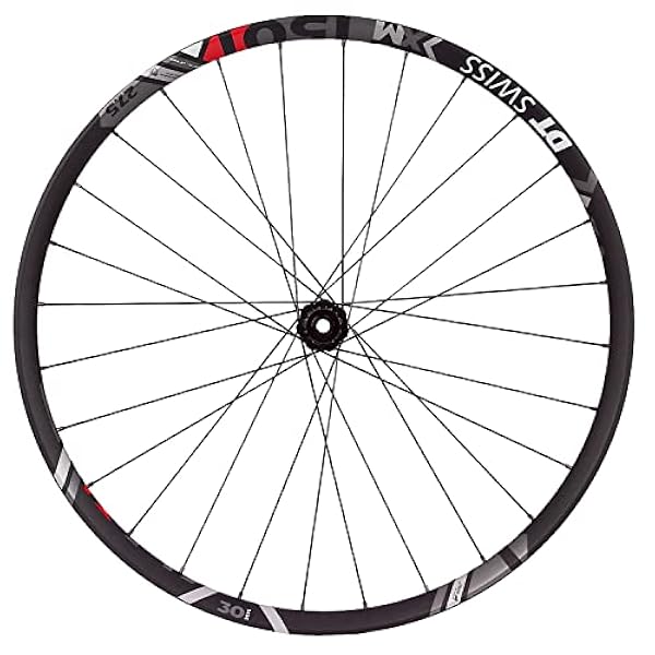 DT Swiss Laufrad XM 1501 Spline ONE Hinten, 27.5 Zoll, 12x148 mm TA (Boost), Shimano, 25 mm Felgenbreite