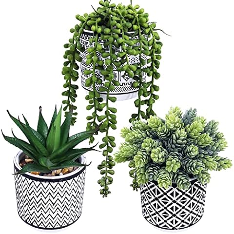 Winlyn 3 Pcs Small Potted Artificial Succulents in Black Geometric Concrete Pots Cover