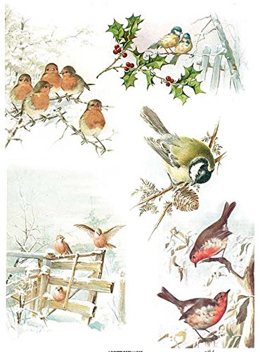 Zita's Creative Papel de Arroz A4 – Invierno Pájaros 1. Diseño de Seda de Paja, Paja Seda, Papel Decoupage
