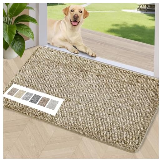 REFETONE Indoor Doormat, Front Back Door Mat, 20x32, Non-Slip Absorbent Resist Dirt Door Mats, Machine Washable Low-Profile Inside Floor Mat Door Rugs for Entryway, Coffee