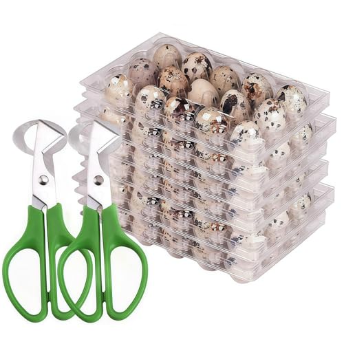 Quail Egg Cartons 15 Grids Small Egg Storage Holders Quail Eggs Bulk Carton Trays & 2PCS Stainless Steel Cutter