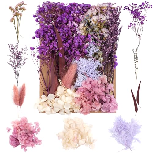 Trockenblumen Zum Basteln Natürliche Gemischte Getrocknete Blumen Violett