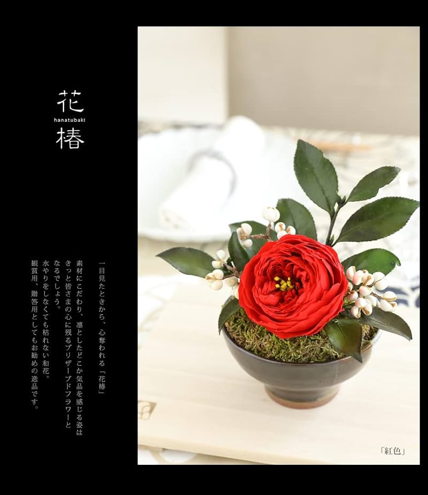 Amazon｜プリザーブドフラワーFiNE プリザーブドフラワー 花椿