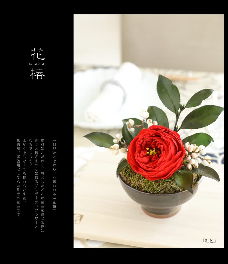 Amazon｜プリザーブドフラワーFiNE プリザーブドフラワー 花椿 紅色