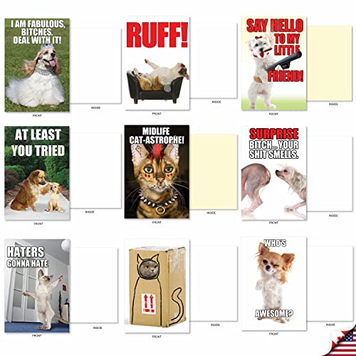 Nobleworks - 36 Assorted Funny Blank Animal Greeting Cards Box Set W/Envelopes, All Occasions Humor Friendship Notes For Men, Women (36 Designs, 1 Each), Our Pet Collection Ac6654Ocb-B1X36 #TOP4