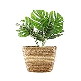 ❀Decoración Perfecta: con un diseño moderno y simple, puede combinar fácilmente con su decoración interior. Se utiliza para flores artificiales y varias plantas. Por ejemplo: plantas de araña, plantas de jade, rosas de bígaro, etc.
