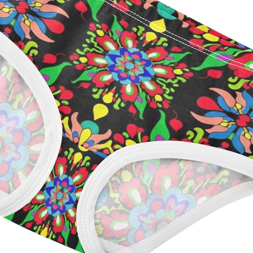 Cotton Toddler Underwear Floral Colorful Traditional Folk Art Poland Cute Panties Girl Florals Undies Kids Briefs 2t4