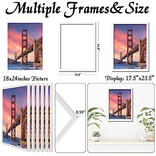 White 18x24 Picture Frames (Set of 6), for Canvas, Collages, and Posters