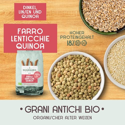 Sgambaro Bio Pasta Penne Rigate N.91-500 g mit Dinkelmehl, Linsenmehl und Quinoamehl – Hoher Proteingehalt, Quelle von Ballaststoffen und Eiweiß