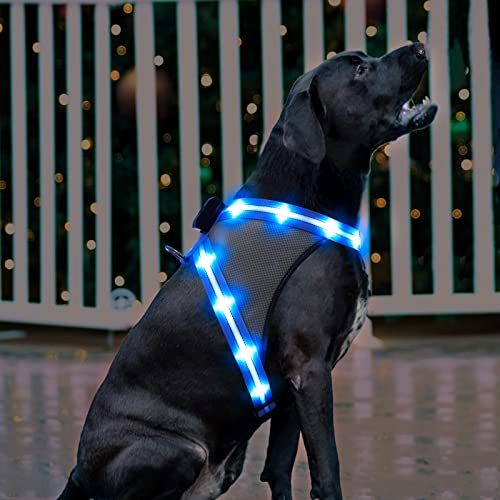 ChalkLit LED Hundegeschirr, Leuchtendes Wiederaufladbares Beleuchtetes Reflektierendes Hundegeschirr Leuchtet Im Dunkeln, LED Hunde-Sicherheitswestenlichter für Nachtspaziergänge (Blau, M)