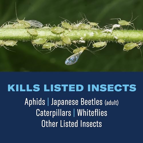 BioAdvanced Tree & Shrub Insect Killer Concentrate for Yard Pests 32 oz Outdoor Use Effective Pest Control for Trees and