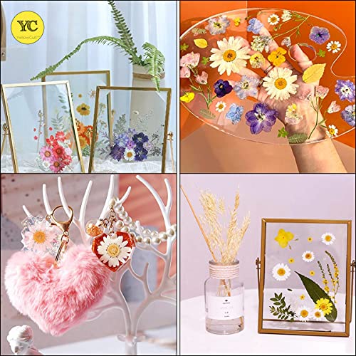 Image of YellowCult Natural Real Dried & Pressed Flowers for Art Craft - Mixed, Multicolor for Soap, Candle, Scrapbooking, DIY, Resin Jewelry, Pendant - [Luxury White 18x13 cm Sheets]