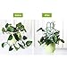 Garden Trellis for Mini Climbing Plants, Leaf Shape Potted Plant Support Vines Vegetables Vining Flowers Patio Climbing Trellises for Ivy Roses Cucumbers Clematis Pots Supports (6 Pack)