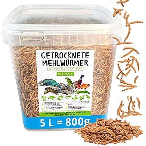 Mehlwürmer getrocknet, 800g (entspricht 5 L) getrocknete Mehlwürmer im praktischen Eimer, proteinreicher Snack für Wildvögel, Fische, Reptilien und Nager Cover