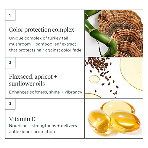 Briogeo Color Me Brilliant Mushroom + Bamboo Color Protect Shampoo, Protects Vibrant Hair Color, Vegan, Phalate & Paraben-Free, 8 Ounces #TOP3