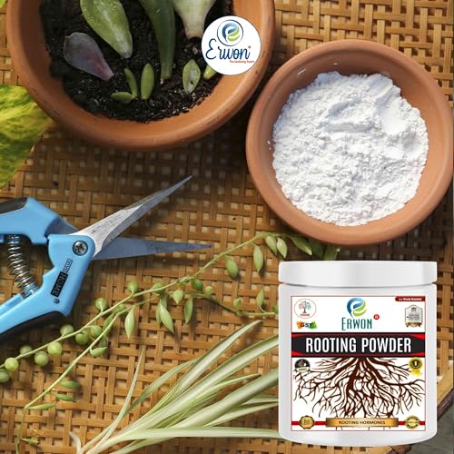 Image of Erwon organic Rooting Powder with auxins for getting fast roots in plant cuttings and plant air layering (50 gm)