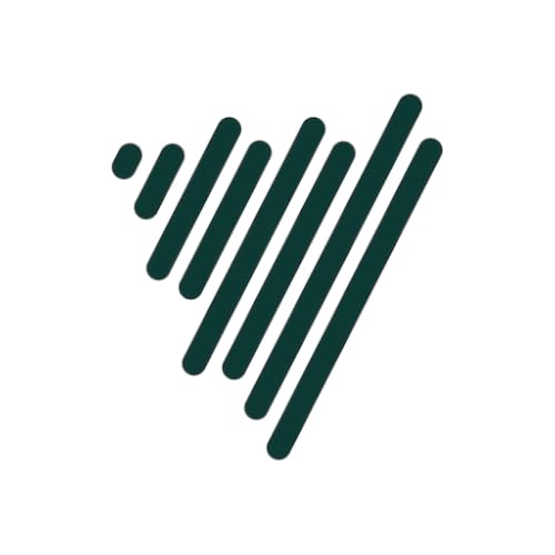 Voicenotes AI Voice Notes