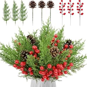 68 Pcs Christmas Pinecones Berry Pine Branch Set Artificial Floral Pinecones Stems Faux Pine Berries Branch Fake Holly Picks Ornament for DIY Craft Xmas Tree Garland Home Décor 68 Pcs Christmas Pinecones Berry Pine Branch Set Artificial Floral Pinecones Stems Faux Pine Berries Branch Fake Holly Picks Ornament for DIY Craft Xmas Tree Garland Home Decor