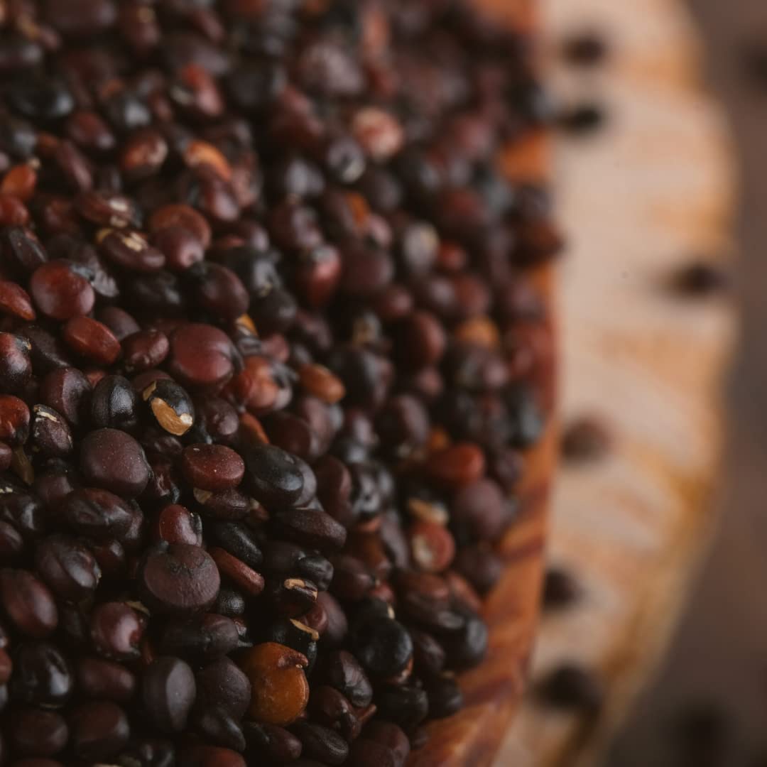 süssundclever.de® Bio Quinoa | schwarz | 1,8 kg | Premium Qualität | plastikfrei und ökologisch-nachhaltig abgepackt