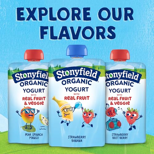 Stonyfield Organic Kids Strawberry Banana Lowfat Yogurt Pouches, 3.5 oz. Each, Includes Live Active Cultures, 4 count (pack of 1)