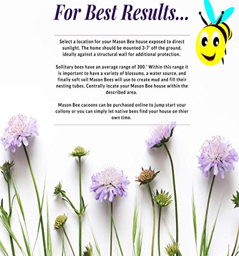 Mason Bee House - Handmade Usa Natural Elderberry Bee Hotel - Bee Hive Attracts Peaceful Bee Pollinators To Enhance Garden Productivity #TOP6