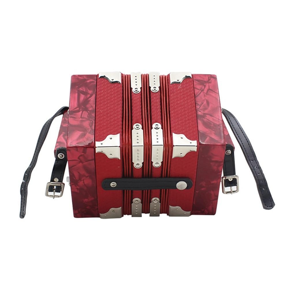 Accordéon hexagonal avec 20 touches et 40 tonnes, instrument professionnel pour la pratique de l'enseignement