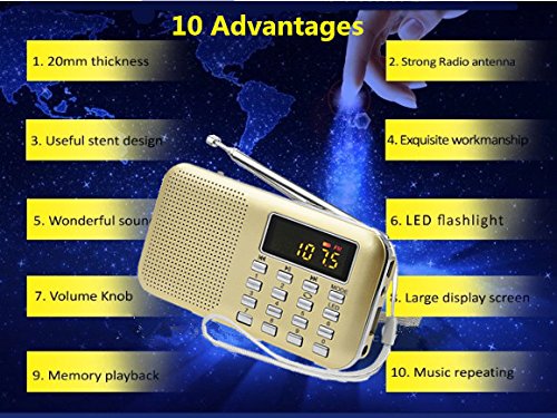 Glod Portable Rechargeable Electronic Audio Bible Blayer 8G Niv Version With Praise Poetry And Sermon #TOP1